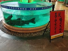 -年辉渔村·非遗传承餐厅(新丰江店)