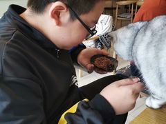 -平行世界·猫咖(首经贸店)