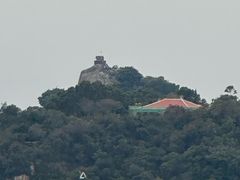 -演武大桥观景平台