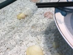 -外婆小菜(东苑米兰广场店)