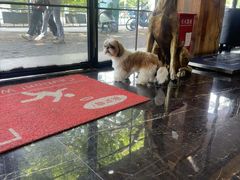 -宠颐生斯嘉宠物医院·急重症·心内科(谷阳北路分院)