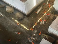 -蓉城老妈火锅(双林路店)