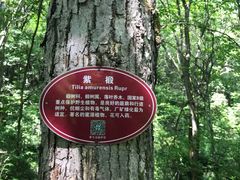 -茅兰沟国家森林公园