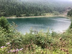 -武陵山森林公园