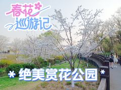 -羊山湖公园