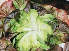 -九孔·筒骨莲藕汤锅(大明宫万达店)