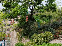 -乌山风景区