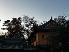 -灵谷景区
