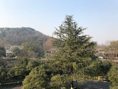 -杭州花家山庄