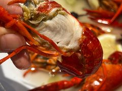 -杨氏青龙虾·羊蝎子(珠江路店)
