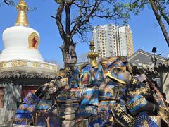 -护国法轮寺