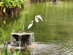 -四海公园(南山区)