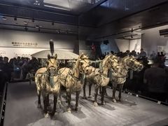 -秦始皇帝陵博物院-丽山园