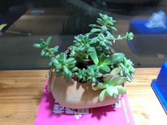 -螺大蛳柳州螺蛳粉·火锅·热干面(西城永捷店)