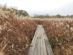 -长兴太湖图影湿地文化园