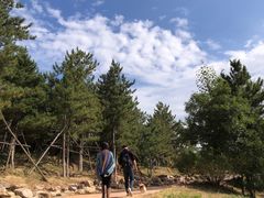 -红山国家森林公园