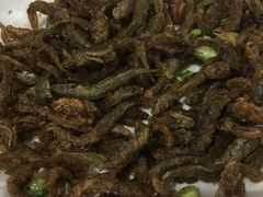 -黄牛肉馆·皖南土菜