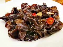 生态木耳-粤仔湾砂锅粥(滨湖万达店)