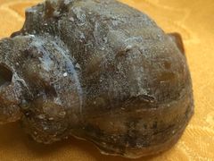 -老明馨潮汕大排档