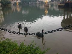 android_upload_pic-东部华侨城