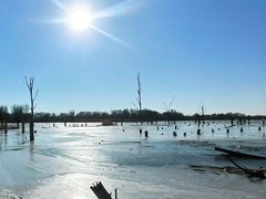 -野鸭湖国家湿地公园