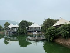 -帐篷客·溪龙茶谷度假酒店