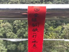 -九龙江国家森林公园