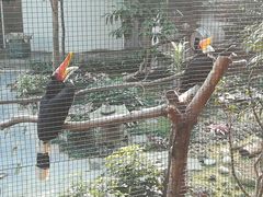 -九龙公园