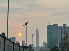 -杨梅坑