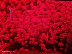 -多彩贵州城极地海洋世界