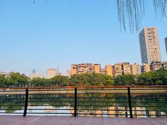 -宝岛公园