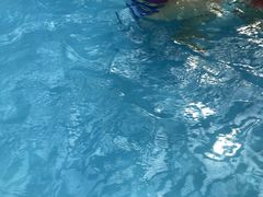 -青岛东方影都融创水世界