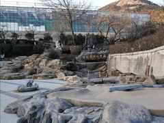 -石老人观光园