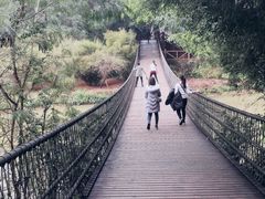 -南宁良凤江国家森林公园