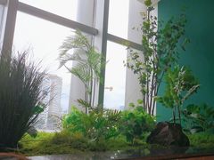 -金牌禄运·点心·啫煲(百信广场店)