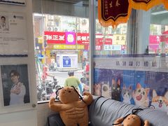 -芭比堂动物医院·心脏科·老年急重症·夜诊·吉雅分院