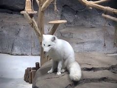 -海合安青岛极地海洋公园