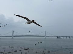 -星海广场