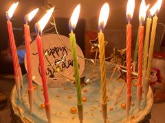 -维尔纳斯·生日蛋糕动物奶油冰淇淋蛋糕(人大店)