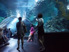 -暹罗海洋世界