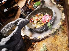 -东椰·海南椰子鸡火锅(朝阳门店)