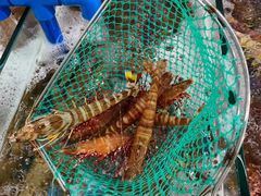 -蟹之国·精品蟹料理(极地店)