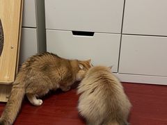 -佳雯宠物医院·皮肤科·内外科(春晓路分院)