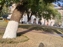 -长沙市青少年宫