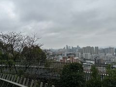 -福道