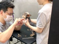 -PETKIT小佩宠物·低压洗护(国顺东路店)