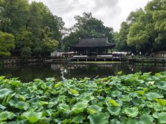 -忠山公园
