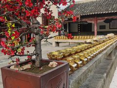 -无锡梅园公园