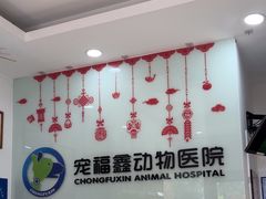 -宠福鑫动物医院(望京分院)