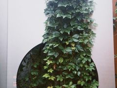 -故宫冰窖餐厅